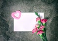 Fresh pink carnation flower and blank card for copy space over s Royalty Free Stock Photo