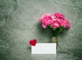 Fresh pink carnation flower and blank card for copy space over s Royalty Free Stock Photo