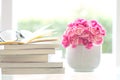 Fresh pink carnation flower with books background Royalty Free Stock Photo