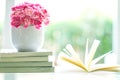 Fresh pink carnation flower with books background Royalty Free Stock Photo