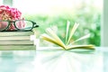 Fresh pink carnation flower with books background Royalty Free Stock Photo