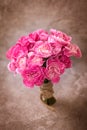 The Fresh pink carnation flower on stone plate background Royalty Free Stock Photo