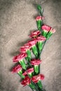 The Fresh pink carnation flower on stone plate background Royalty Free Stock Photo