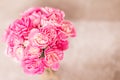 the Fresh pink carnation flower on stone plate background Royalty Free Stock Photo