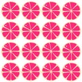 Fresh Pink Grapefruit Pattern Texture Wallart Royalty Free Stock Photo