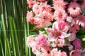 Fresh Pink lily and gerbera flower