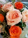 Fresh pink old-roses in a bouquet Royalty Free Stock Photo