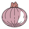 fresh pink onion vegetable