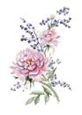 Fresh pink peonies and small bluebells on white background. Wat