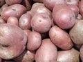 Fresh pink potatoes are in a farmer's basket at the market Royalty Free Stock Photo