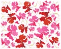 Fresh Pink and Red Hibiscus Flowers Background