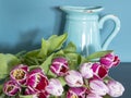 Fresh pink and red tulip flowers bouquet in front of a jug on a brown table in front of green wall. View with copy space and Royalty Free Stock Photo