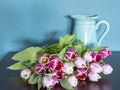 Fresh pink and red tulip flowers bouquet in front of a jug on a brown table in front of green wall. View with copy space and Royalty Free Stock Photo