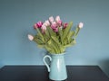 Fresh pink and red tulip flowers bouquet in a jug on a brown table in front of green wall. View with copy space Royalty Free Stock Photo