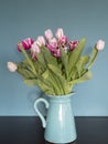 Fresh pink and red tulip flowers bouquet on shelf in front of green wall. View with copy space Royalty Free Stock Photo