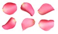 Fresh pink rose petals on background Royalty Free Stock Photo
