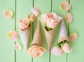 Fresh pink roses Royalty Free Stock Photo