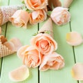 Fresh pink roses Royalty Free Stock Photo