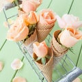 Fresh pink roses Royalty Free Stock Photo