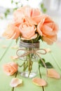 Fresh pink roses Royalty Free Stock Photo