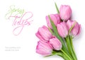 Fresh pink tulip flowers bouquet Royalty Free Stock Photo