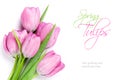 Fresh pink tulip flowers bouquet Royalty Free Stock Photo