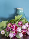 Fresh pink tulip flowers bouquet on a old brown table in front of a green wall. View with copy space and shadow Royalty Free Stock Photo