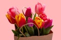 Fresh pink tulip flowers in paper bag isolated on pink Royalty Free Stock Photo