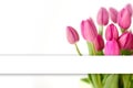 Fresh Pink tulips. A bouquet of spring flowers Royalty Free Stock Photo