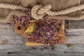 Fresh pistachios in copper bowl on wooden rustic background, wonderful peanut composition for healthy and dietary nutrition.