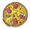 Fresh pizza with tomato, cheese, olive, sausage, basil. Traditional italian fast food sketch. Top view. European snack