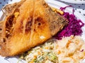 Fresh plaice fried on the Baltic Sea Royalty Free Stock Photo