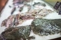 Fresh plaice on ice,displayed with other seafood at Kotor market,Kotor,Montenegro Royalty Free Stock Photo