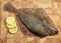 FRESH PLAICE pleuronectes platessa