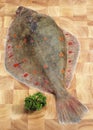 FRESH PLAICE pleuronectes platessa SITH PERSLEY