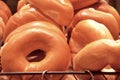 Fresh Plain Bagels Royalty Free Stock Photo