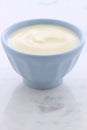 Fresh plain yogurt