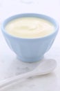 Fresh plain yogurt Royalty Free Stock Photo