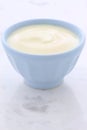 Fresh plain yogurt Royalty Free Stock Photo