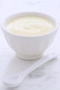 Fresh plain yogurt Royalty Free Stock Photo