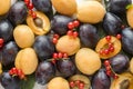 Fresh plum, apricot and red currant berries with leaves on a light table.