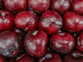 Fresh Plum fruits best for detox