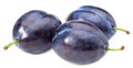 Fresh plum fruits isolated on white background. Clipping path. Royalty Free Stock Photo