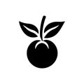 Fresh plum icon