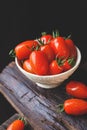Fresh Plum tomatoes-Cherry tomatoes on the dark background Royalty Free Stock Photo