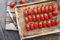 Fresh Plum tomatoes-Cherry tomatoes on the dark background Royalty Free Stock Photo