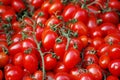 Fresh plum tomatoes at a market