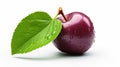 Fresh plum with waterdrops Royalty Free Stock Photo