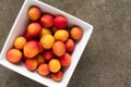 Fresh Plums in a Bowl Royalty Free Stock Photo