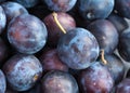 Fresh plums closeup background Royalty Free Stock Photo